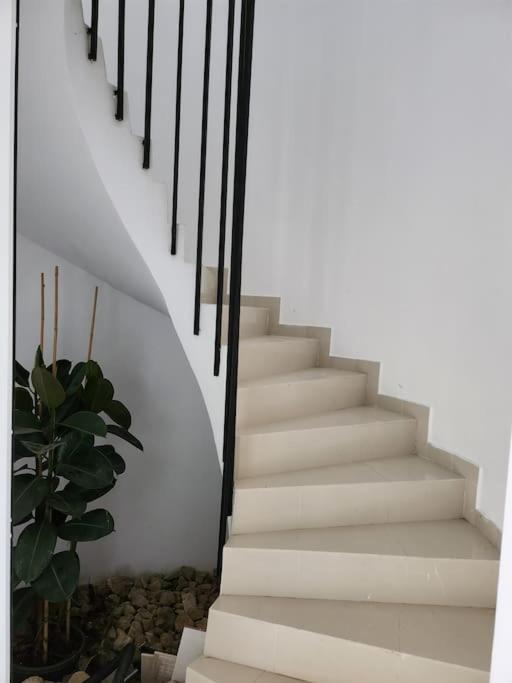 Вілла Contempory Exclusive Sitges Area Olivella Екстер'єр фото